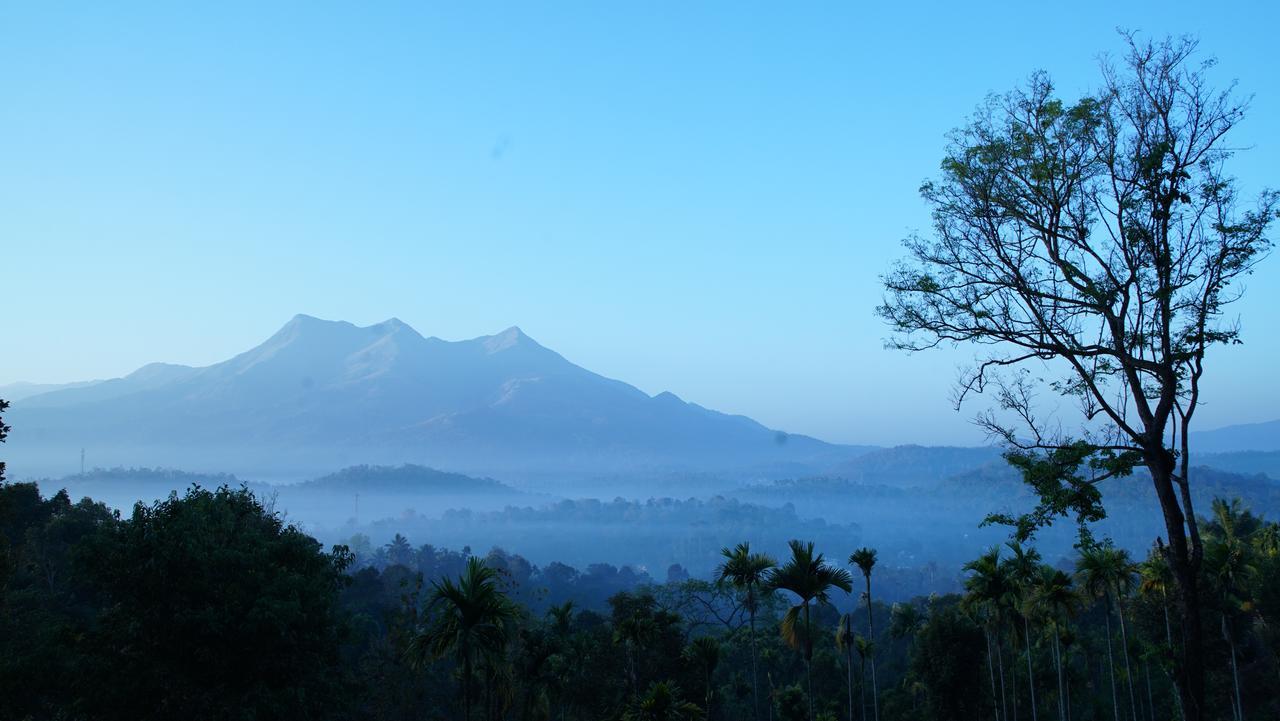 Woodrose Resort Kalpetta Esterno foto